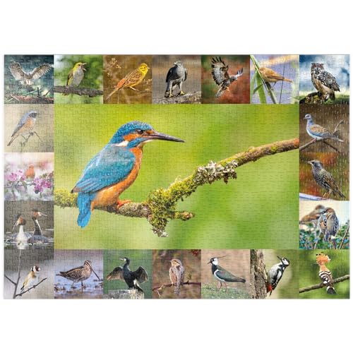 MyPuzzle Vögel des Jahres - Collage Nr.8 Hauptmotiv: Eisvogel - Premium 1000 Teile Puzzle - MyPuzzle Sonderkollektion von Starnberger Spiele von MyPuzzle.com