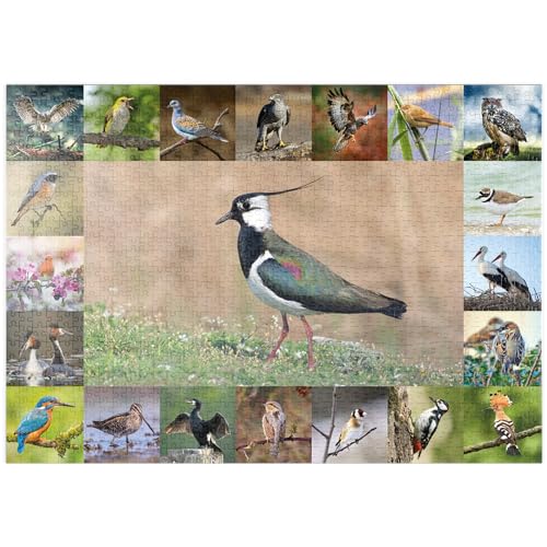 Vögel des Jahres - Collage Nr.9 - Hauptmotiv: Kiebitz - Premium 1000 Teile Puzzle - MyPuzzle Sonderkollektion von Starnberger Spiele von MyPuzzle.com