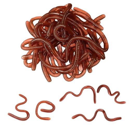 Myluatye Künstlicher Regenwurm, 15 Stück Gefälschter Regenwurm,Lebensechter Wurm,Gefälscht Regenwurm,Weich und Elastisch Gummi Regenwürmer, Weiche Kunststoff Würmer,für Halloween Dekoration Myluatye Künstlicher Regenwurm, 15 Stück Gefälschter Regenwurm,Lebensechter Wurm,Gefälscht Regenwurm,Weich und Elastisch Gummi Regenwürmer, Weiche Kunststoff Würmer,für Halloween Dekoration von Myluatye