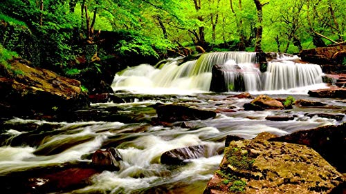 N/O 1000-Teiliges Puzzle-Kinder-Holzpuzzlespielzeug Entwickelt Intelligenz-Wasserfall N/O 1000-Teiliges Puzzle-Kinder-Holzpuzzlespielzeug Entwickelt Intelligenz-Wasserfall von N/O