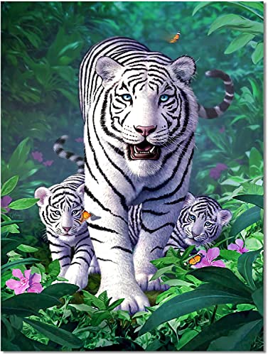 N-S Tiger 500 Teile Puzzle, Holzpuzzle, Heimdekoration, rahmenloses Gemälde, Kunstpuzzle (Größe: 500 Teile, Farbe: A) von N-S