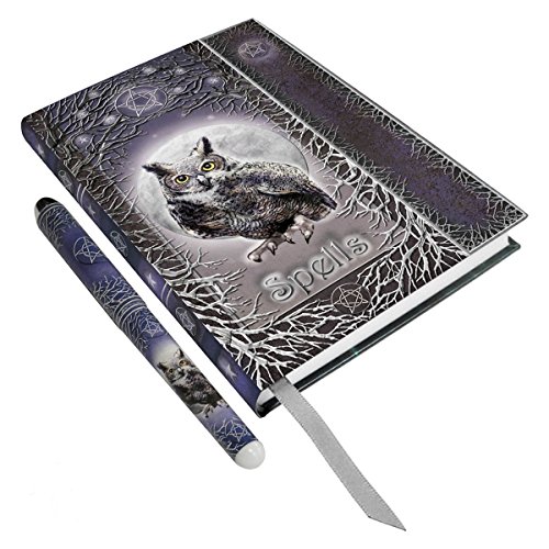 Dark Dreams Gothic Pagan Magie Wicca Schattenbuch Buch Notizbuch Eule Uhu von N. N.