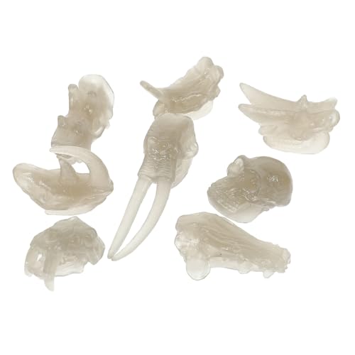 NAMOARLY 1 Satz Dinosaurier-knochendekor Knochenformen Von Dinosauriern Desktop- Dinosaurier-knochenmodell Für 3D-Dinosaurier Fossiles Für Kinderspielzeug PVC von NAMOARLY
