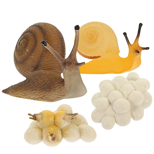 NAMOARLY 1 Satz Wachstumszyklus der Schnecke Schneckenornament Muscheln Figur sankastenspielsachen zabawki stymulujące rozwój Schneckenwachstumsspielzeug lustige Schneckenspielzeuge PVC NAMOARLY 1 Satz Wachstumszyklus der Schnecke Schneckenornament Muscheln Figur sankastenspielsachen zabawki stymulujące rozwój Schneckenwachstumsspielzeug lustige Schneckenspielzeuge PVC von NAMOARLY