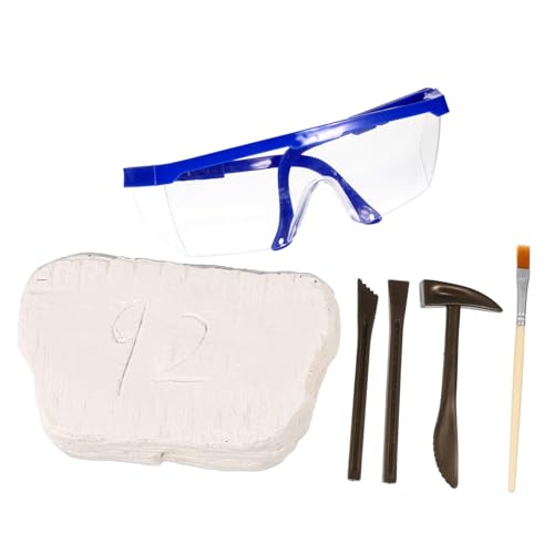 NAMOARLY 1 Satz Zum Ausgraben Von Fossilien Alter Der Kinderspielzeug Kleinkindspielzeug DIY Grabspielzeug Lernspielzeug Für Ausgrabungen Lustiges Grabspielzeug Gips von NAMOARLY