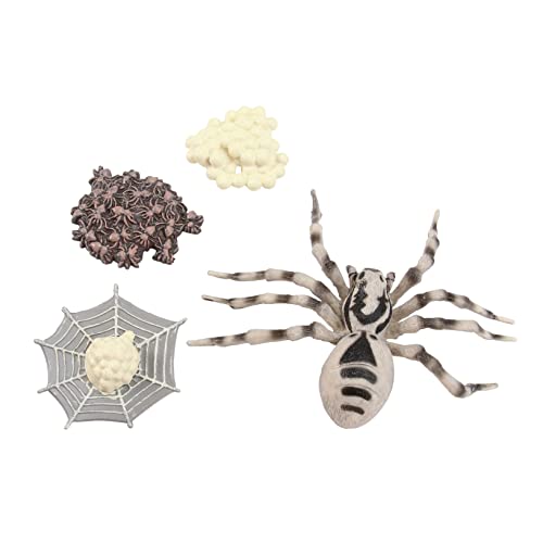 NAMOARLY Pädagogisches Spielzeug Set Spinne Marienkäfer Zyklus Vorschule Wissenschaft Spielzeug Für Kinder NAMOARLY Pädagogisches Spielzeug Set Spinne Marienkäfer Zyklus Vorschule Wissenschaft Spielzeug Für Kinder von NAMOARLY