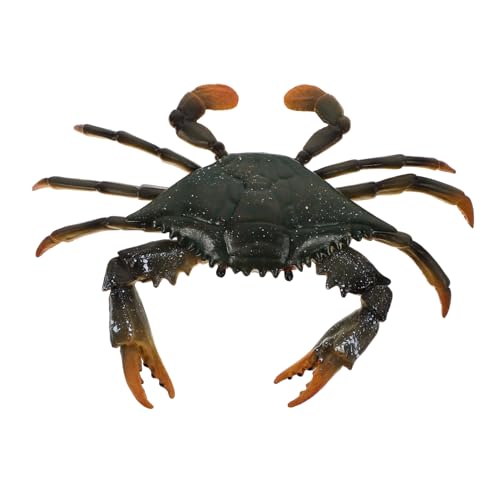 NAMOARLY 1 Stück Simulation Krabbe Kinderspielzeug Für Krabbenmodell Pädagogisches Meerestiere Krabben-Display-Modelle Tiermodelle Plastik von NAMOARLY