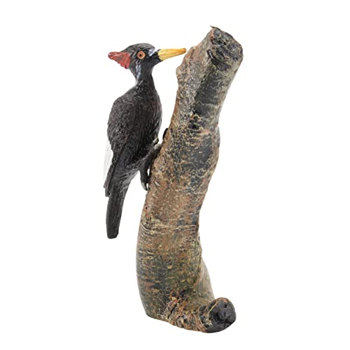 NAMOARLY 1 Stück Vogel Vogel Modell Specht Figur Krähe Vogelfiguren für Mini-Vögel für kinderspielzeug Vogel- -Vogel-Modell Black NAMOARLY 1 Stück Vogel Vogel Modell Specht Figur Krähe Vogelfiguren für Mini-Vögel für kinderspielzeug Vogel- -Vogel-Modell Black von NAMOARLY