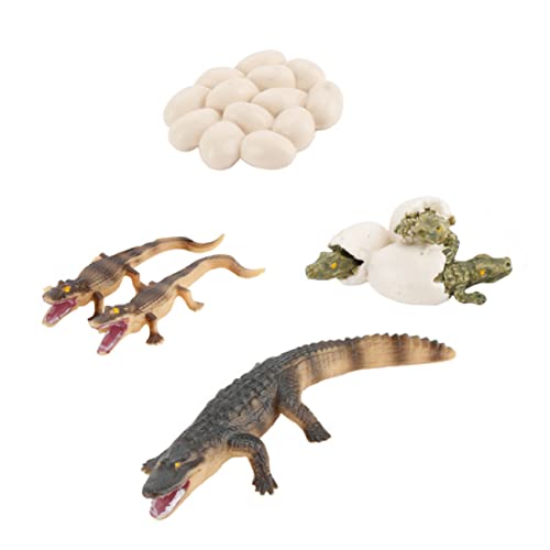 NAMOARLY 1Satz Lernspielzeug Modell Zur Simulation des Tierwachstumszyklus Künstliches Plastikkrokodil Für Jungen von NAMOARLY
