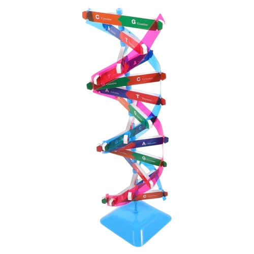 NAMOARLY 1Satz Modellbausatz für Biologieunterricht Wissenschaftliches Doppelhelix Modell aus Pädagogisches Lernspielzeug für Sicher Erkundung von NAMOARLY