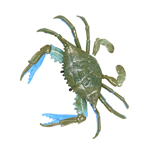 NAMOARLY 1Stück PVC Krabbenmodell Realistisches Krabbenfigur Für Pädagogisches Lernspielzeug Für Sandkasten Und Strandspiele NAMOARLY 1Stück PVC Krabbenmodell Realistisches Krabbenfigur Für Pädagogisches Lernspielzeug Für Sandkasten Und Strandspiele von NAMOARLY