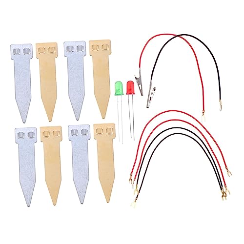 NAMOARLY 2 Sets Obst Batterie Wissenschaft Kit Für Kinder Elektrische Spielzeug Physik Experiment Liefert Kinder Spielzeug von NAMOARLY