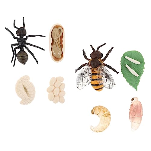 NAMOARLY 2 Sätze tierischer Wachstumszyklus sankastenspielsachen wohnzimmerdeko Bienenmodell Tiermodell Lernspielzeug Plastikmodelle Bienenspielzeug Lebenszyklus der Ameise Bildungsmodelle NAMOARLY 2 Sätze tierischer Wachstumszyklus sankastenspielsachen wohnzimmerdeko Bienenmodell Tiermodell Lernspielzeug Plastikmodelle Bienenspielzeug Lebenszyklus der Ameise Bildungsmodelle von NAMOARLY