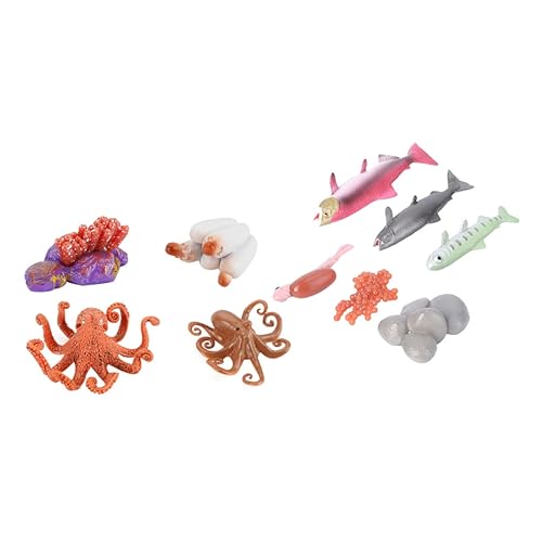 NAMOARLY 2 Sets Fisch Wachstumszyklus Kinderspielzeug Lebenszyklus Modell Wachstumszyklus Entwicklungsspielzeug Fische Modell Oktopus Lebenszyklus Für Meerestiere Lebenszyklus von NAMOARLY
