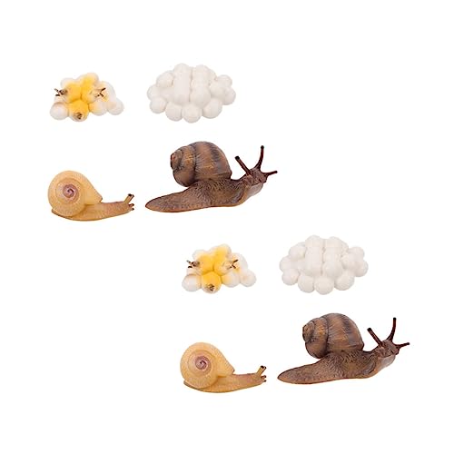 NAMOARLY 2Sätze Lebenszyklus Von Schnecken Figuren Lernspielzeug Für Dekorative Ornamente Zur des Naturwissenschaftlichen Verständnisses Teiliges Für Spielerisches Lernen NAMOARLY 2Sätze Lebenszyklus Von Schnecken Figuren Lernspielzeug Für Dekorative Ornamente Zur des Naturwissenschaftlichen Verständnisses Teiliges Für Spielerisches Lernen von NAMOARLY