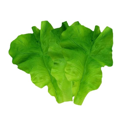 NAMOARLY 3st Salatblattmodell Künstliche Blumen Lebensechtes Grünes Gemüse Simulation Grüne Gurke Simulationssalate Künstliche Salatblätter Pflanzliches Modell Green Plastik NAMOARLY 3st Salatblattmodell Künstliche Blumen Lebensechtes Grünes Gemüse Simulation Grüne Gurke Simulationssalate Künstliche Salatblätter Pflanzliches Modell Green Plastik von NAMOARLY