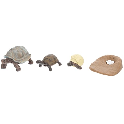 NAMOARLY Sammlung 4 Stücke PVC Schildkröte Figuren Lebenszyklus Dekorative Weiche Spielzeug Für Jungen Und Mädchen Zufällig von NAMOARLY