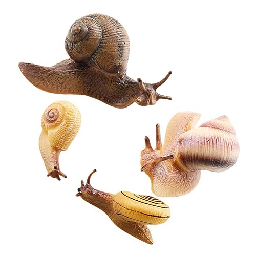 NAMOARLY 4 Stück Schnecken Ornament Kognitive Dekorationen Ornamente Für Kuchendekoration Tiere Blumentopf Ornament Tiere Modelle Für Die Bildung Tiere Lernspielzeug PVC NAMOARLY 4 Stück Schnecken Ornament Kognitive Dekorationen Ornamente Für Kuchendekoration Tiere Blumentopf Ornament Tiere Modelle Für Die Bildung Tiere Lernspielzeug PVC von NAMOARLY