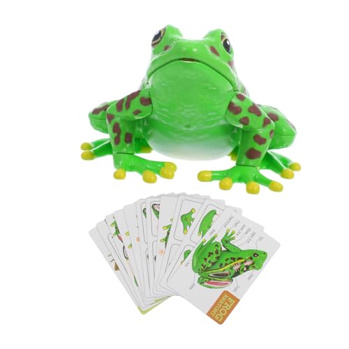 NAMOARLY Lernen Sie Die Anatomie Des Frosches Mit Diesem Pädagogischen Puzzle-frosch Aus Kunststoff Für Kinder Sicheres Und Unterhaltsames Lernspielzeug von NAMOARLY