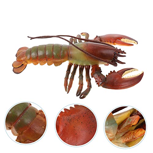 NAMOARLY Realistisches Hummer Modell Kreatur Figur Langlebig Lebensecht Pädagogisch für Dekoratives Aquarium Ornament NAMOARLY Realistisches Hummer Modell Kreatur Figur Langlebig Lebensecht Pädagogisch für Dekoratives Aquarium Ornament von NAMOARLY