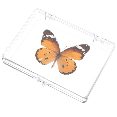 NAMOARLY Schmetterling Probe Display Box Kunst Rahmen Exquisite Dekorative Display für Hause NAMOARLY Schmetterling Probe Display Box Kunst Rahmen Exquisite Dekorative Display für Hause von NAMOARLY