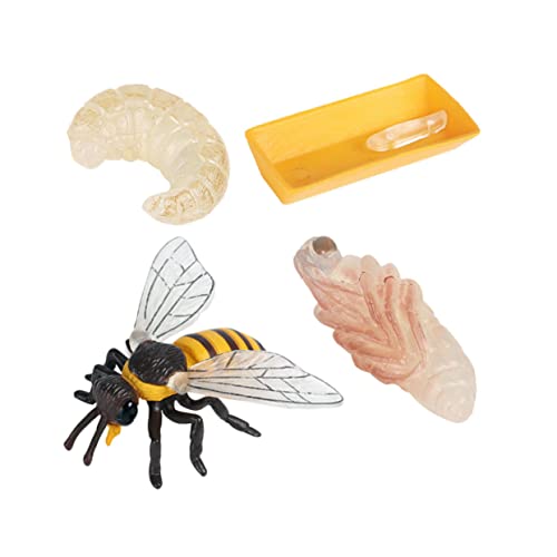 NAMOARLY Simulation Bienen Lebenszyklus Modell Pädagogisches Lernspielzeug für Naturkunde und Kognitiven Entwicklung Realistische Insekten Figuren für Frühe Bildung von NAMOARLY
