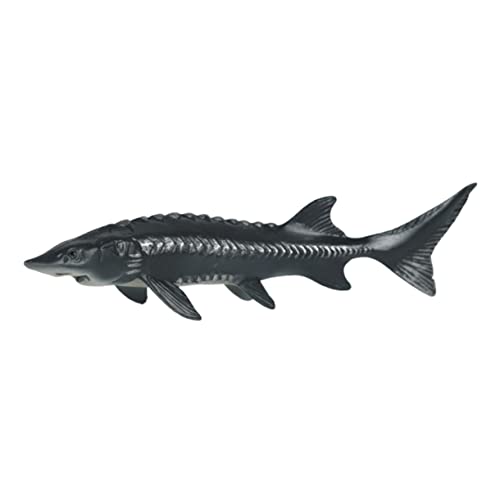 NAMOARLY Simulierter Chinesischer Stör Simulation Von Fischmodellen Kognitives Fische Für Lernspielzeug Für Chinesische Störfigur Aus Kunststoff Plastik von NAMOARLY