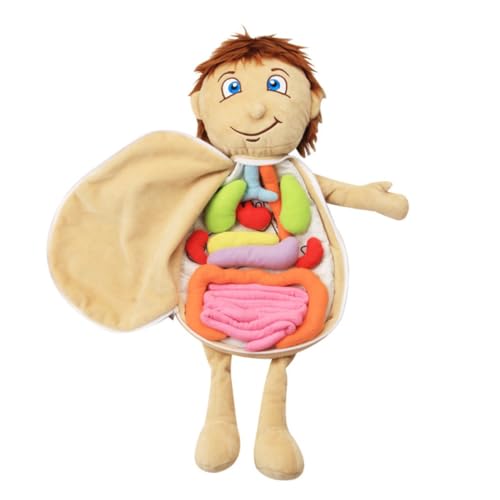 NAMOARLY Spielzeug für die frühkindliche Bildung Bildungsorgane des menschlichen Körpers Anatomie Körper Rätsel Spielzeug Werkzeuge Plüschtier der menschliche körper Kinderspielzeug Schürze von NAMOARLY