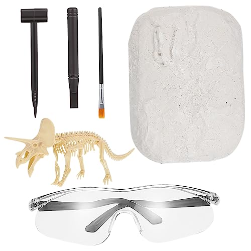 NAMOARLY bastelset basteln für bastelzeug für bastelsets für Crafts for Dinosaurier-Grabset für Ausgrabungssets für Dinosaurier Plastik von NAMOARLY