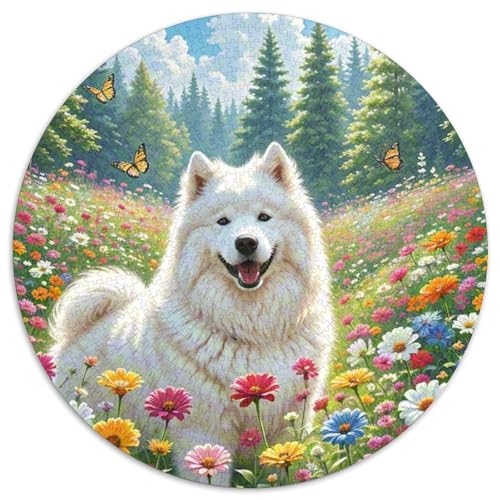 Samojed ‌ Dog Puzzles Rundes Puzzle 1000 Teile Circular Puzzle 1000pcs (67.5x67.5cm) Für Erwachsene Und Kinder Tierschöne Haustiere Pädagogisches Familienpuzzle DIY Karton von NAOFEKUID