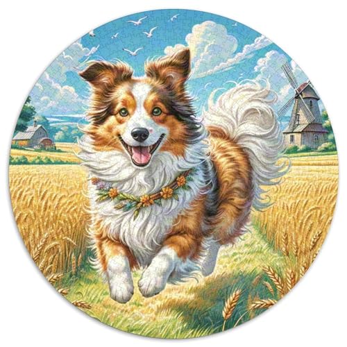 Shetlandsherhund Puzzle Rund Puzzles 1000 Teile Circular Puzzle 1000pcs (67.5x67.5cm) Für Erwachsene Kinder Tier niedliche Haustiere Stressabbau Spielzeug Familienpuzzle DIY Karton von NAOFEKUID