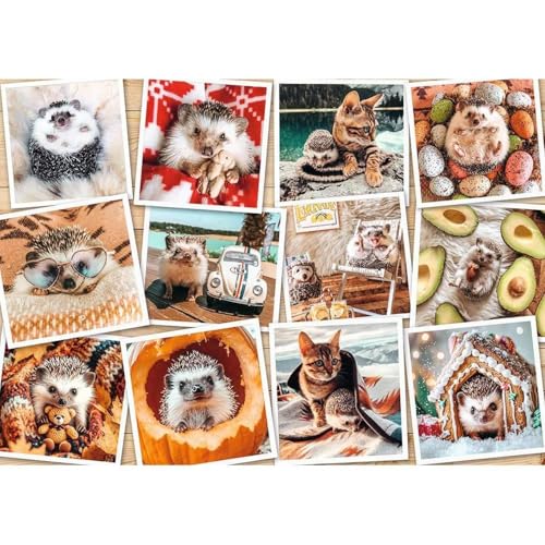 Nathan Puzzle 1500 Teile – Die Abenteuer des Igels – Erwachsene und Kinder ab 14 Jahren – Hochwertiges Puzzle – perfekte Integration – Kollektion Tendresse – 12001619 Nathan Puzzle 1500 Teile – Die Abenteuer des Igels – Erwachsene und Kinder ab 14 Jahren – Hochwertiges Puzzle – perfekte Integration – Kollektion Tendresse – 12001619 von NATHAN