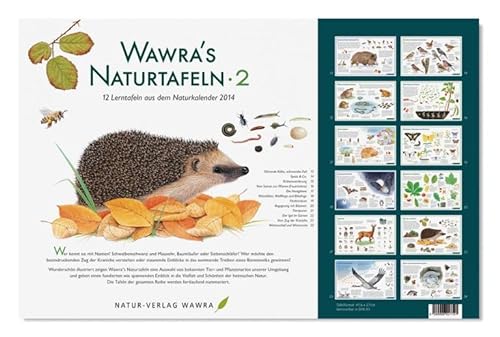 Wawra´s Naturtafeln Set 2 - mit 12 Lerntafeln im A3-Format zum Entdecken, Beobachten, Bestimmen - 41,6 x 27 cm von NATUR-VERLAG WAWRA