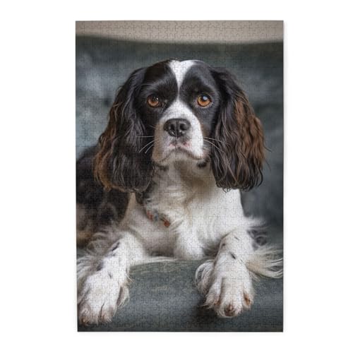 1000-teiliges Puzzle für Erwachsene, herausfordernde Puzzles für Spielabende, Spaniel auf dem Sofa, Holzpuzzle, personalisierbar, Holzbild, Puzzle für Familie, fertige Größe 50 x 74,9 cm 1000-teiliges Puzzle für Erwachsene, herausfordernde Puzzles für Spielabende, Spaniel auf dem Sofa, Holzpuzzle, personalisierbar, Holzbild, Puzzle für Familie, fertige Größe 50 x 74,9 cm von NBCCDVSH