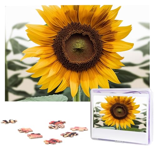 1000-teiliges Puzzle für Erwachsene, herausforderndes Puzzle für Spielabende, Sonnenblüte, Holzpuzzle, fertige Größe 74,9 x 50 cm von NBCCDVSH
