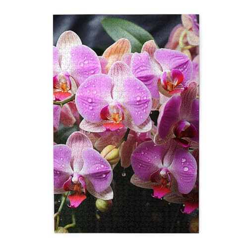 1000-teiliges Puzzlespiel für Erwachsene, herausfordernde Puzzles für Spielabende, Orchideen, personalisierte Holzpuzzle für Familie, fertige Größe, 50,8 x 75 cm 1000-teiliges Puzzlespiel für Erwachsene, herausfordernde Puzzles für Spielabende, Orchideen, personalisierte Holzpuzzle für Familie, fertige Größe, 50,8 x 75 cm von NBCCDVSH