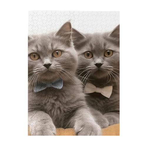 500-teiliges Puzzle für Erwachsene, herausforderndes Puzzle für Spieleabende, lustige Katzen, Holzpuzzle, fertige Größe 38,1 x 51,8 cm 500-teiliges Puzzle für Erwachsene, herausforderndes Puzzle für Spieleabende, lustige Katzen, Holzpuzzle, fertige Größe 38,1 x 51,8 cm von NBCCDVSH