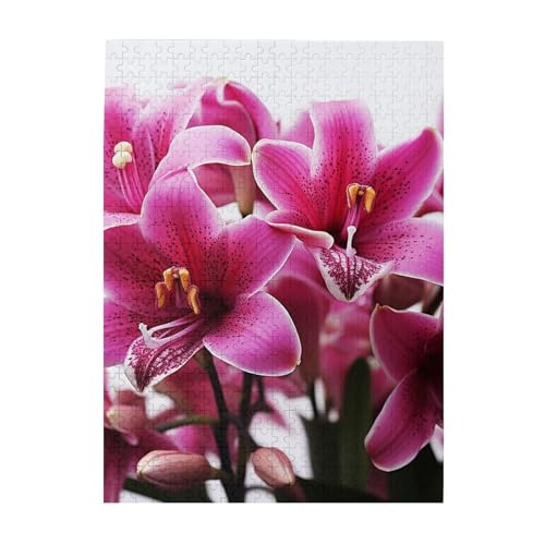 500-teiliges Puzzle für Erwachsene, herausforderndes Puzzle für Spieleabende, rosa Lilien, Blumen, Holzpuzzle, fertige Größe 38,1 x 51,8 cm 500-teiliges Puzzle für Erwachsene, herausforderndes Puzzle für Spieleabende, rosa Lilien, Blumen, Holzpuzzle, fertige Größe 38,1 x 51,8 cm von NBCCDVSH