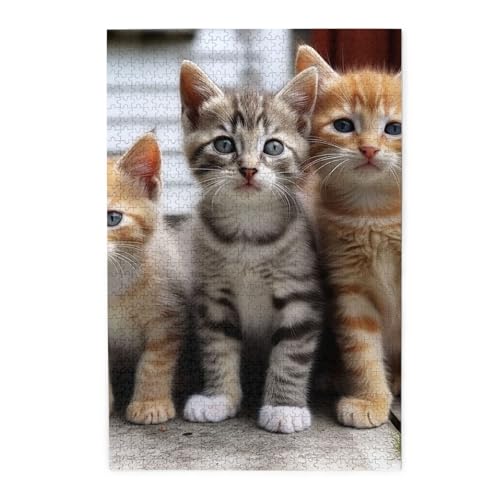 Puzzle, 1000 Teile für Erwachsene, herausforderndes Puzzle für Spielabende, Kätzchen, Katzen, personalisierte Holzpuzzle für Familie, fertige Größe, 50 x 75 cm Puzzle, 1000 Teile für Erwachsene, herausforderndes Puzzle für Spielabende, Kätzchen, Katzen, personalisierte Holzpuzzle für Familie, fertige Größe, 50 x 75 cm von NBCCDVSH