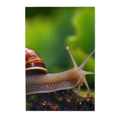 Puzzle 1000 Teile für Erwachsene, herausfordernde Puzzles für Spielabende, Tiere, Schnecken, personalisierte Holzpuzzle für Familie, fertige Größe Puzzle 1000 Teile für Erwachsene, herausfordernde Puzzles für Spielabende, Tiere, Schnecken, personalisierte Holzpuzzle für Familie, fertige Größe von NBCCDVSH