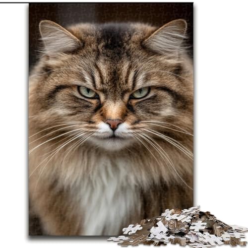 Puzzle für Teenager, Maine Coon, Lernspiele, Heimdekoration, ganze Familie (Größe 50x75cm) von NBDSOYEWO