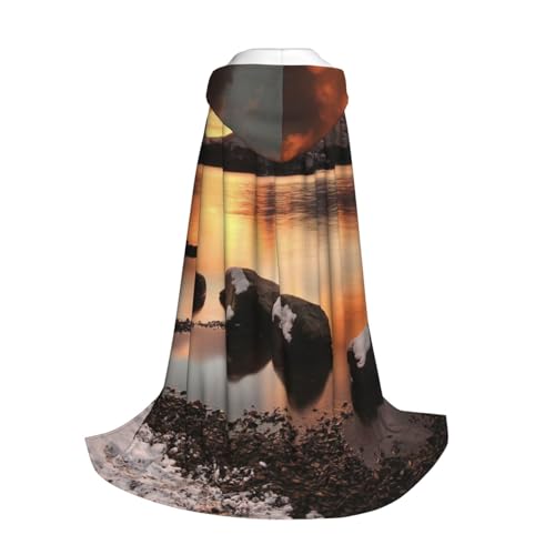 Rock and Lake Under Sunset Print Kapuzenumhang für Jugendliche Bodenlang Kapuzenumhang Rock and Lake Under Sunset Print Kapuzenumhang für Jugendliche Bodenlang Kapuzenumhang von NDDCEDEW