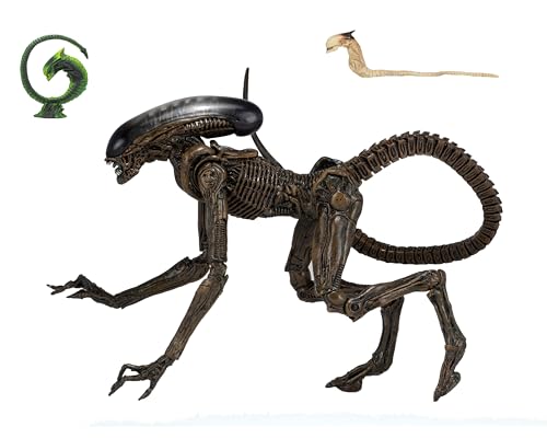 NECA 51597 Ultimate Dog Alien 7"" Scale Action Figure, H856645 NECA 51597 Ultimate Dog Alien 7"" Scale Action Figure, H856645 von NECA