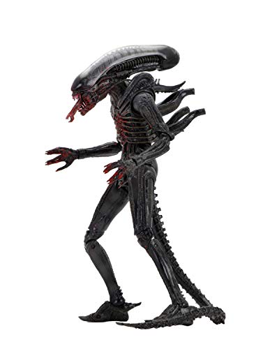 NECA 51701 Alien 40th Anniversary - The Alien (Bloody) 7"" Action Figure, H854670 von NECA