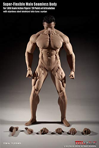 NEDTO 1/6th Scale Super Flexible Male Seamless Body-M35(Head Sculpt is not Included) von NEDTO