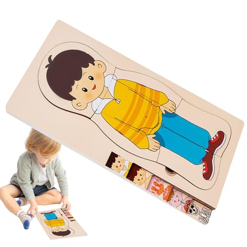 NEECS Anatomie für Kinder,Menschliche Anatomie für Kinder | Mehrschichtige Anatomiestruktur aus Holz, kognitives Puzzlespielzeug | Pädagogische, interaktive Frühentwicklungsmaterialien für von NEECS