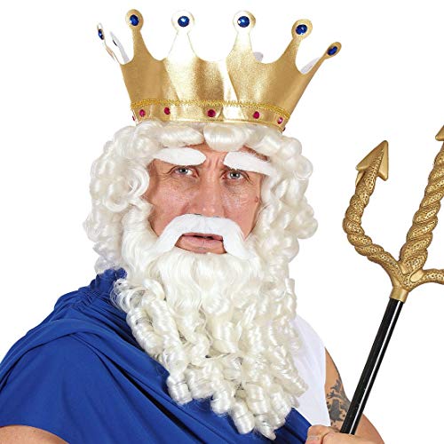 NET TOYS Tolle Poseidon Perücke mit Bart - Weiß - Majestätisches Männer-Kostüm-Zubehör Neptun - Ideal für Mottoparty & Karneval von NET TOYS