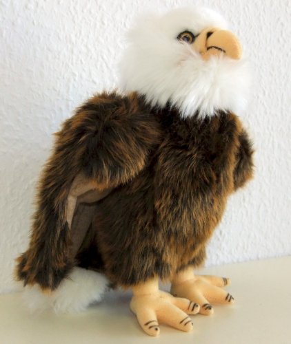 Weißkopfseeadler Adler 26 cm Schmusetier Plueschtier Kuscheltier EAGLE Weißkopfseeadler Adler 26 cm Schmusetier Plueschtier Kuscheltier EAGLE von NEWNAIVETE