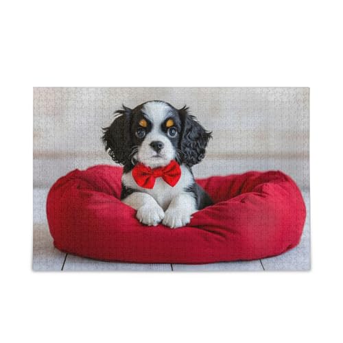NFMILI Niedliche Hunde-Puzzles 500 Teile für Erwachsene Familien Zigsaw Puzlle Spiel 20,5 × 37,8 cm NFMILI Niedliche Hunde-Puzzles 500 Teile für Erwachsene Familien Zigsaw Puzlle Spiel 20,5 × 37,8 cm von NFMILI