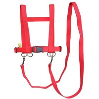 NIC 810902 - Kinder-Pferdespielleine, rot, Kinder-Pferdegeschirr, verstellbar, Gurtband von NIC